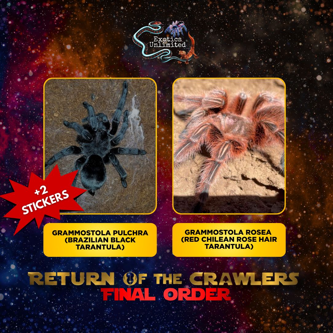 Return of the Crawlers